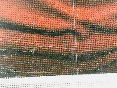 SN36300