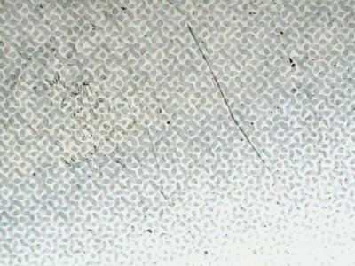 SN36301