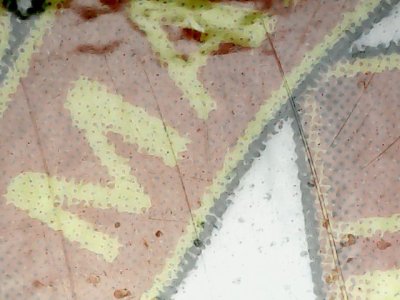 SN36301