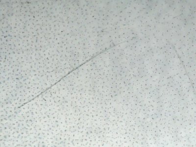 SN36301