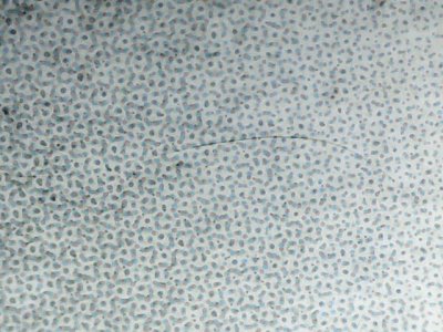 SN36302
