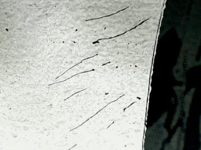 SN36306