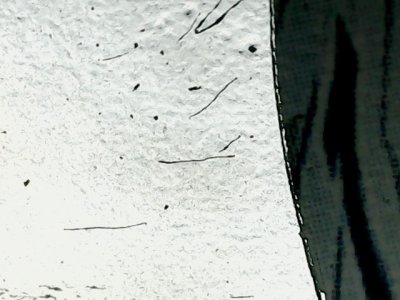 SN36306