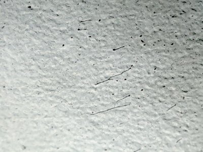 SN36306