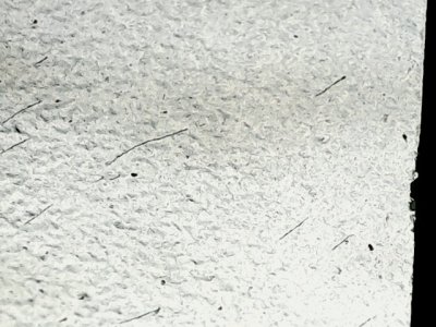 SN36306