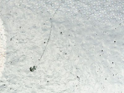 SN36307