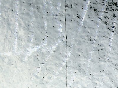 SN36307