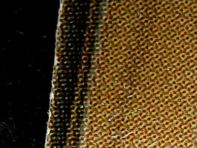 SN36308