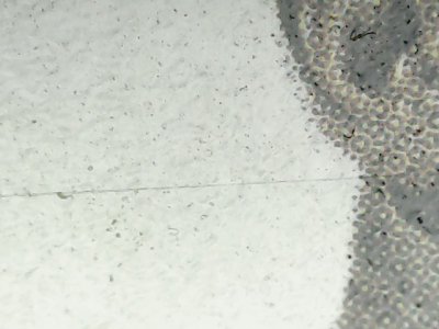 SN36309