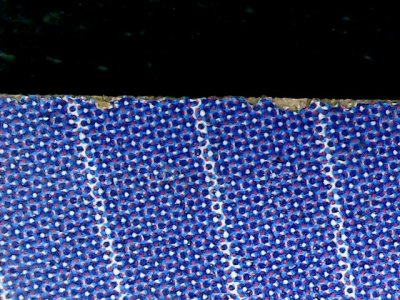 SN36310