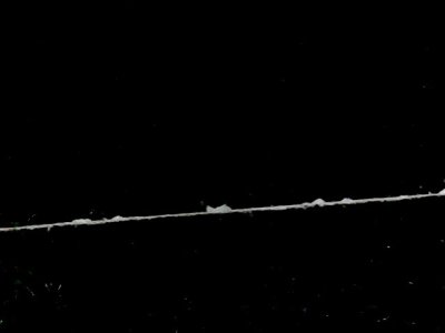 SN36313