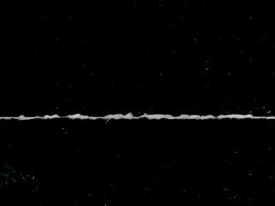 SN36313