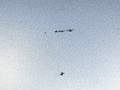 SN36314