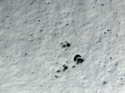SN36315