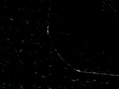 SN36387