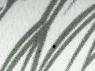 SN36388