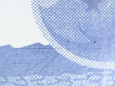 SN36390