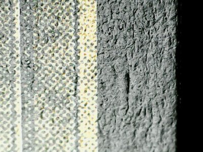 SN36391