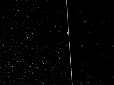 SN36393
