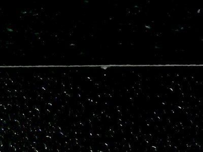 SN36393