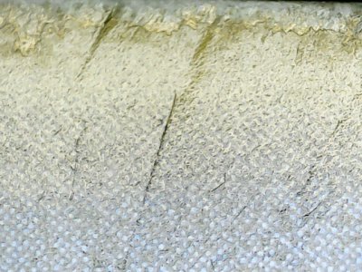 SN36410