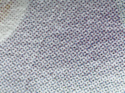 SN36410