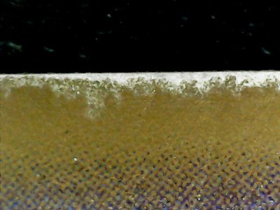 SN36410