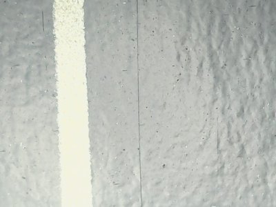 SN36424
