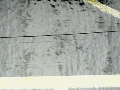 SN36424
