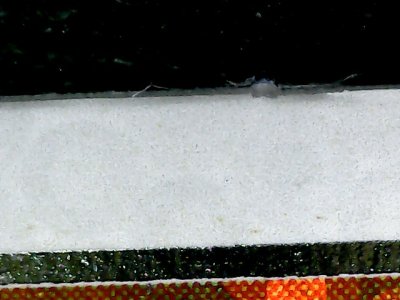 SN36425