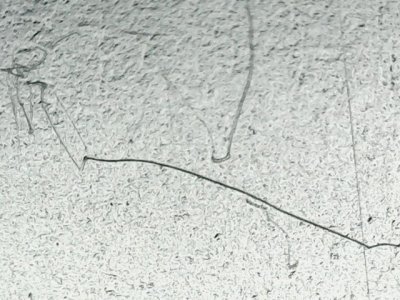 SN36427