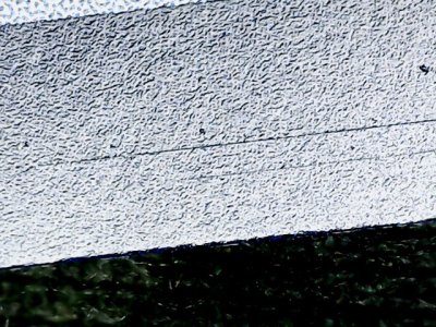 SN36449