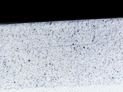SN36453