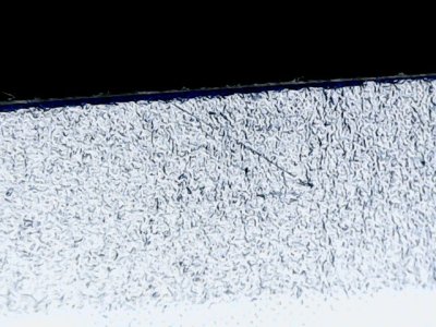 SN36456