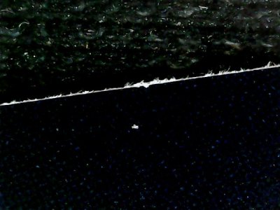 SN36513