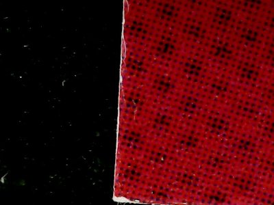 SN36513