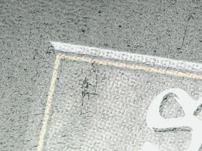 SN36517