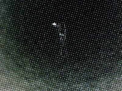 SN36531