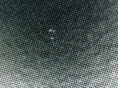 SN36531