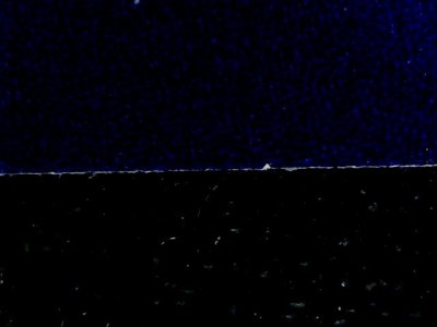 SN36534