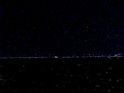 SN36537
