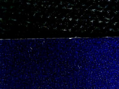 SN36537