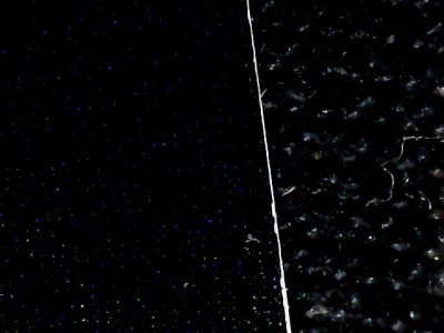 SN36576