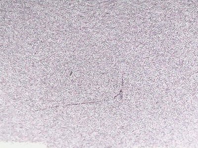 SN36580