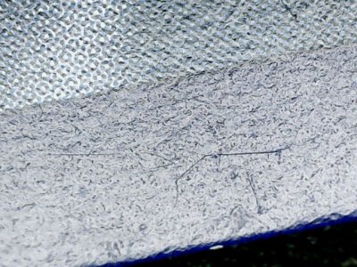 SN36580