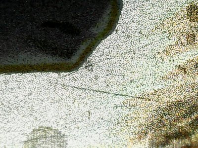 SN36581