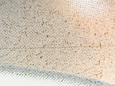 SN36586