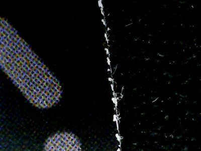 SN36598