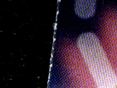 SN36598