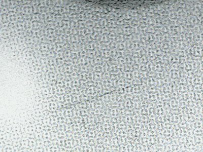 SN36660